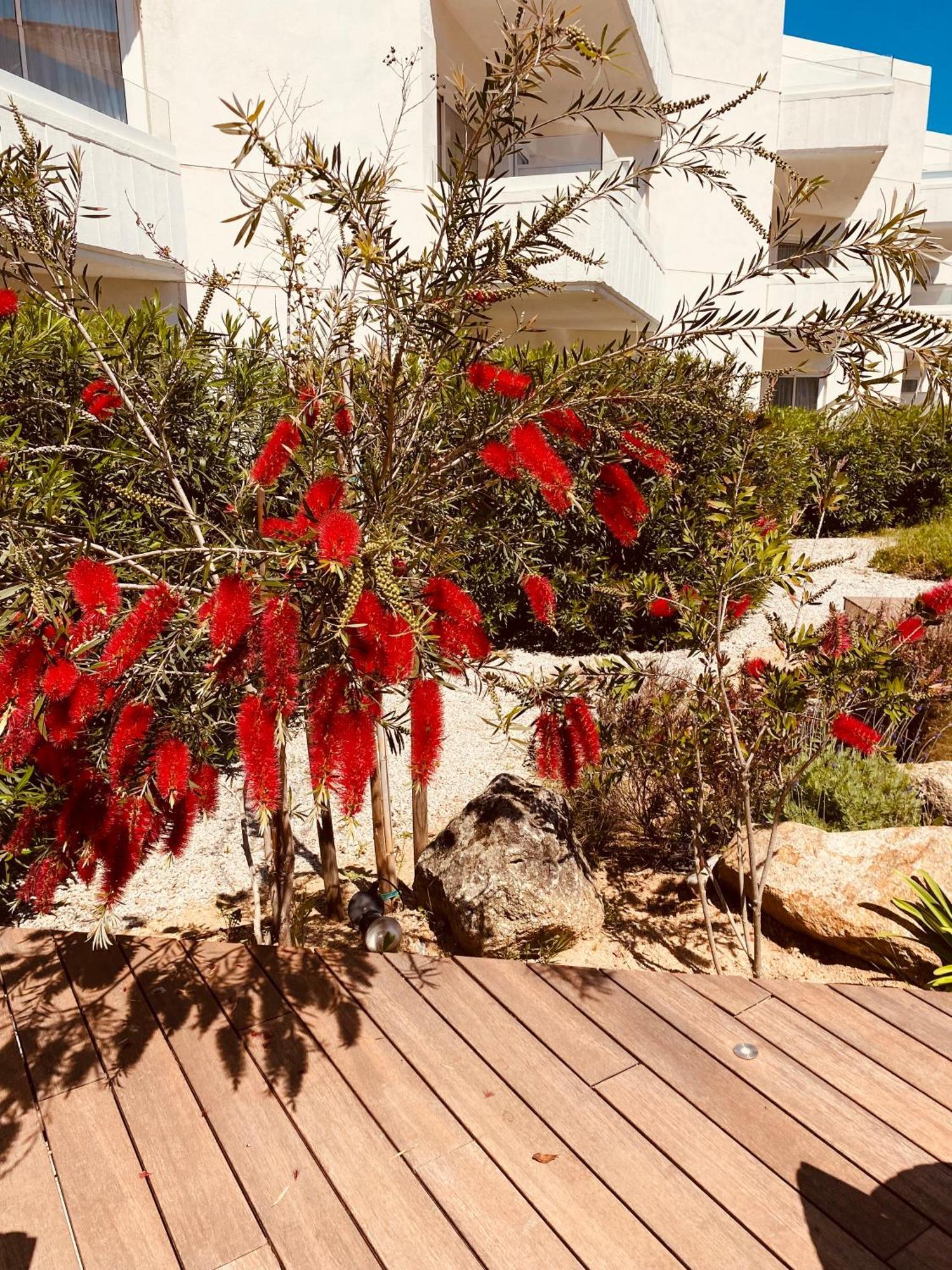 Calvi Hotel Екстериор снимка