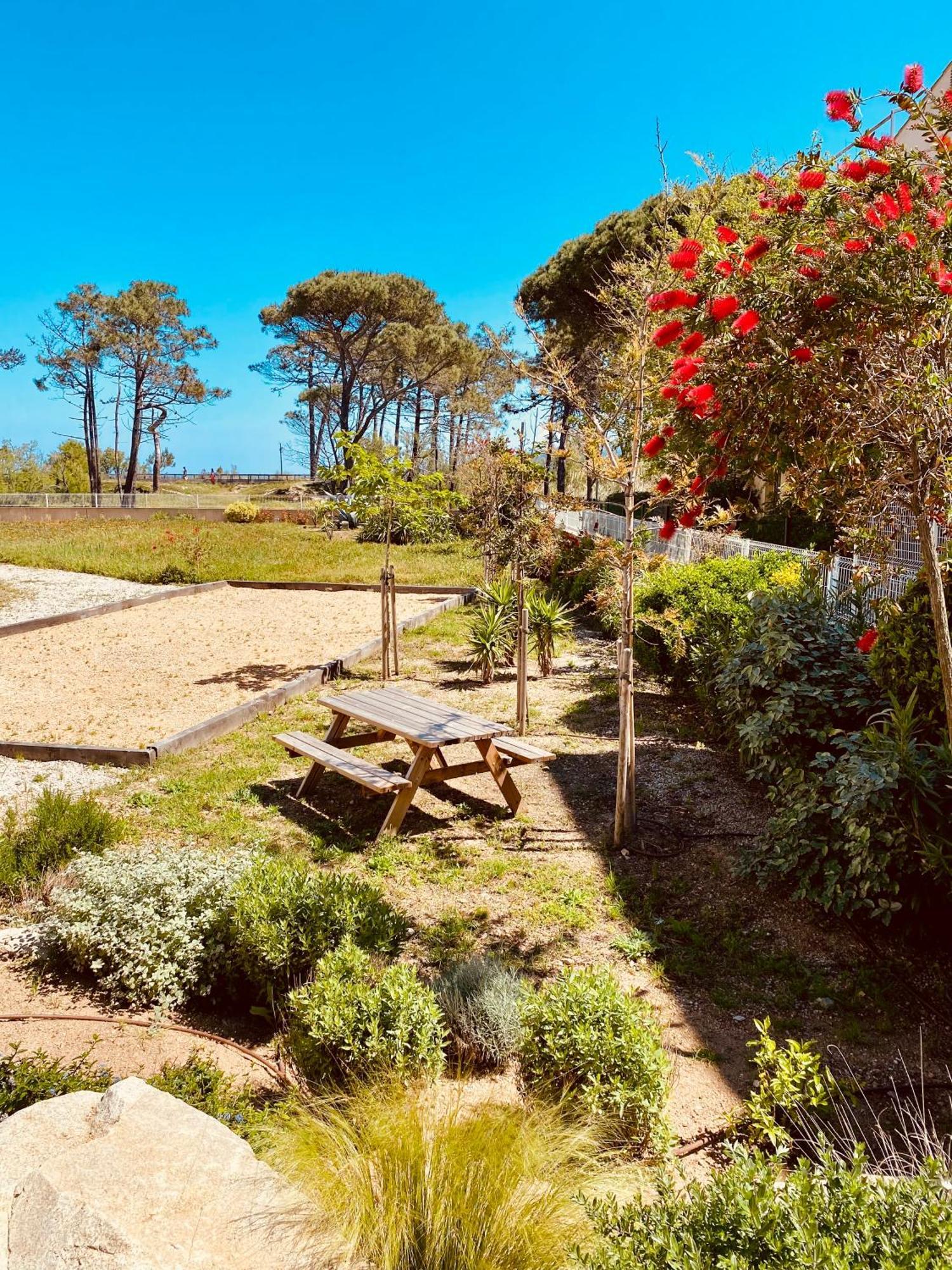 Calvi Hotel Екстериор снимка